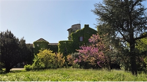 chateau à la vente -   84000  AVIGNON, surface 3 m2 vente chateau - UBI444927023